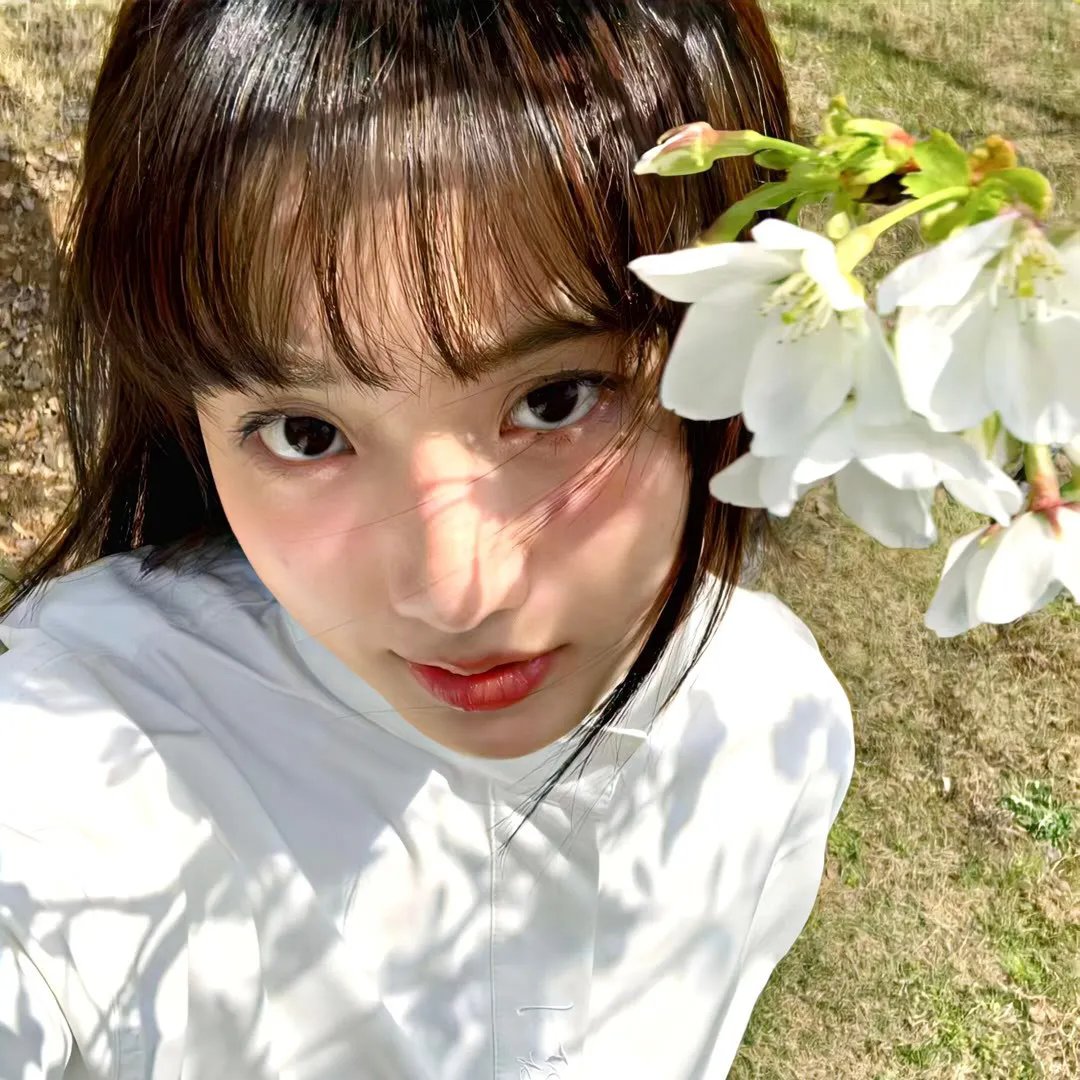 夏目友人帐:结缘空蝉
